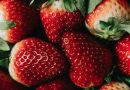 Dyrk dine egne smagfulde jordbær